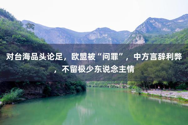 对台海品头论足,欧盟被“问罪”,中方言辞利弊,不留极少东说念主情