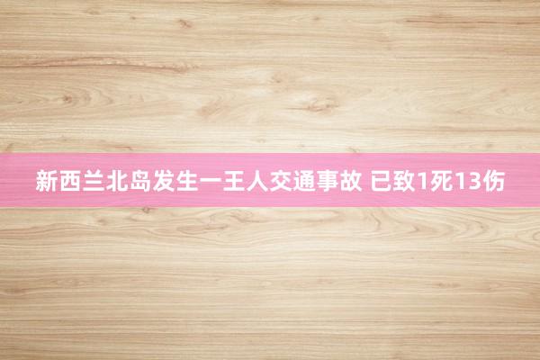 新西兰北岛发生一王人交通事故 已致1死13伤